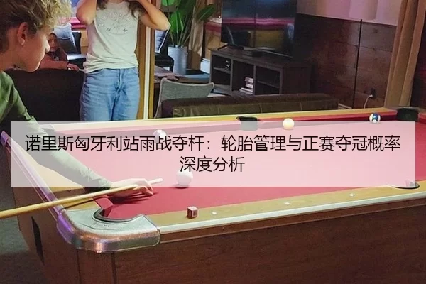 nuo-li-si-xiong-ya-li-zhan-yu-zhan-duo-gan-lun-tai-guan-li-yu-zheng-sai-duo-guan-gai-lv-shen-du-fen-xi-2-738.jpg